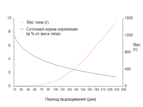 График 2 График 2
