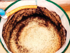 Садок для подращивания  Садок для подращивания