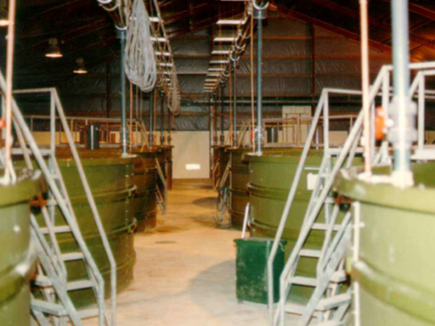 Круглые бассейны на угревом хозяйстве в Голландии Круглые бассейны на угревом хозяйстве в Голландии