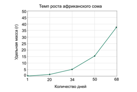 рисунок 1 рисунок 1