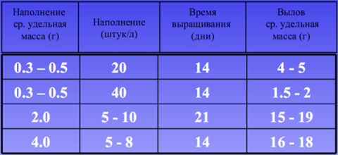 таблица 1 таблица 1