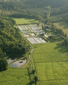 02_2.jpg прудовое хозяйство для выращивания форели