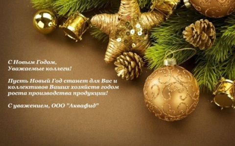 С Новым Годом, уважаемые коллеги! С Новым Годом, уважаемые коллеги!